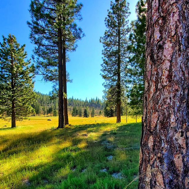 Очень интересно есть ли среди нас кто-то из этих 78...