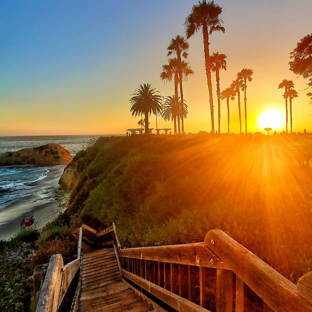 Сегодня мы отправили на пенсию нашего менеджера Стива в 59...