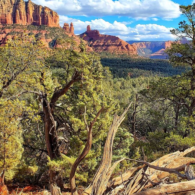 Седона — место необычайной красоты, восхитительной природы и невероятной энергии!...
